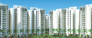 Motiaz Royal Citi Zirakpur